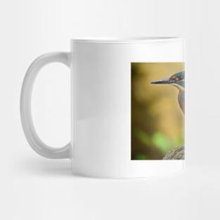 Beautiful Kingfisher Mug